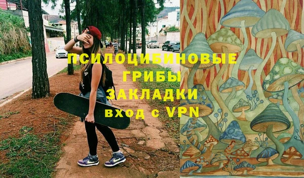 гидропоника Иннополис