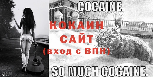 COCAINE Инсар