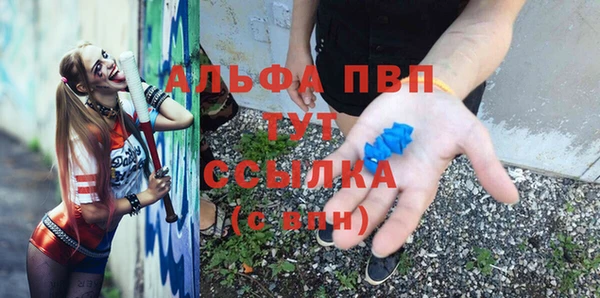 ГАЛЛЮЦИНОГЕННЫЕ ГРИБЫ Инта