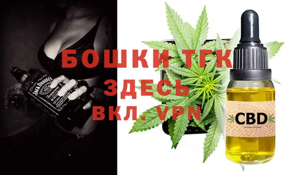 ГАЛЛЮЦИНОГЕННЫЕ ГРИБЫ Инта