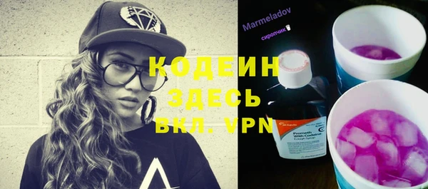 ГАЛЛЮЦИНОГЕННЫЕ ГРИБЫ Инта