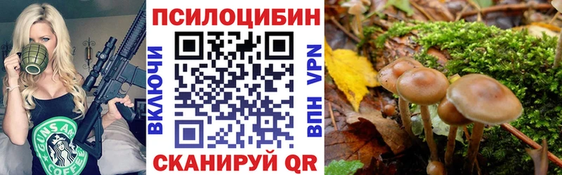 Купить закладки  Зея  Псилоцибиновые грибы GOLDEN TEACHER 